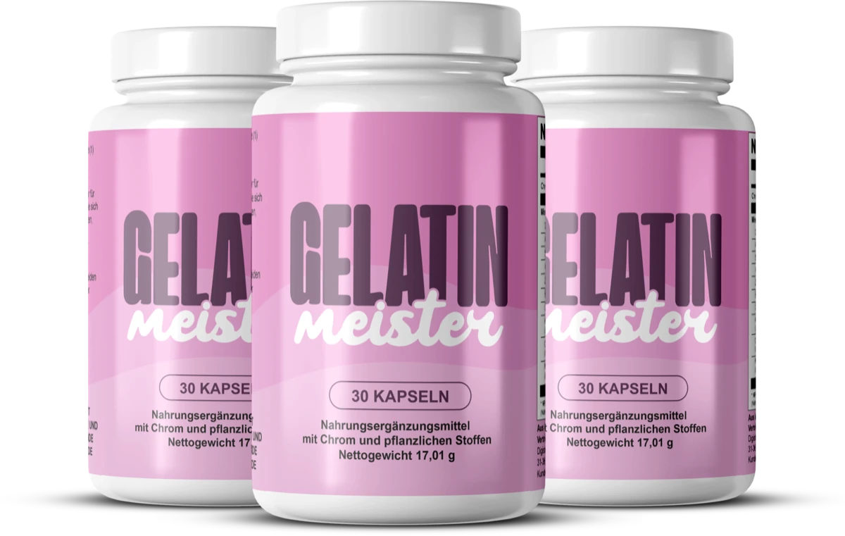 Gelatin Meister 3x