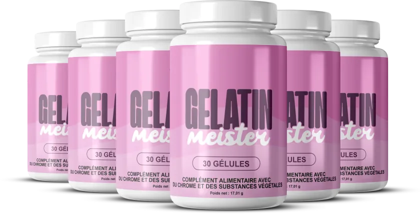 Gelatin Meister 6x